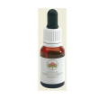 sturt desert rose austr15ml gt