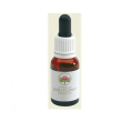 sundew australian 15ml gtt