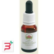sunshine wattle australian gocce 15 ml