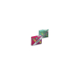 glucotin 100 tavolette 726 pz compresse