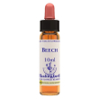 beech ess 10ml ingl herbs