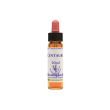 centaury essence 10 ml - integratore per il benessere quotidiano