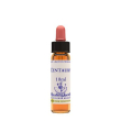 centaury ess 10ml ingl herbs