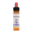 centaury essenza 10 ml english herbs - fiore di bach centaury per assertività e volontà