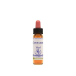 centaury ess 10ml ingl herbs