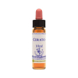 healing herbs cerato 10 ml - integratore per l'umore