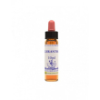 cerato ess 10ml ingl herbs