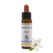 cherry plum fiore di bach essenza naturale in gocce 10 millilitri rimedio emozionale ingl herb per c