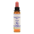 chestnut bud essenza 10ml