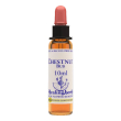 chestnut bud ess 10ml ingl her