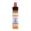 clematis essenza 10ml