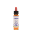 crab apple essenza 10ml natur