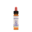 gentian essenza 10 ml 1 pezzo