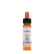 gorse ess 10ml ingl herbs