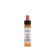 gorse essenza 10 ml 1 pezzo