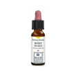 honeysuckle essenza 30ml