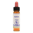 hornbeam essenza 30ml