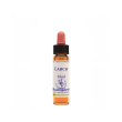 larch essenza 10ml