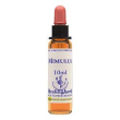 mimulus essenza 10ml