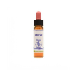 olive essenza 10ml
