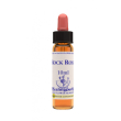 rock rose ess 10ml ingl herbs