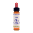 rock water ess 10ml ingl herbs