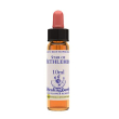 star of bethlehem essenza 10 ml 1 pezzo