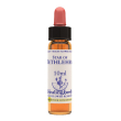 star of bethlehem essenza 10 ml 1 pezzo