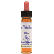 star of bethlehem essenza 10ml 10 ml gocce orali