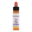 star of bethlehem essenza 30 ml - fiore di bach per traumi ed emozioni bloccate