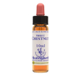 sweet chest ess 10ml ingl herb