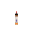 vervain ess 10ml ingl herbs