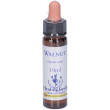 walnut essenza 10ml 10 ml