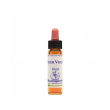 water violet essenza 10ml