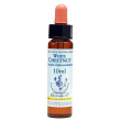 white chest ess 10ml ingl herb