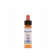 wild oat essenza 10ml
