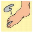 s017lf gel toe spre dis dita l