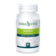 equiseto 125 tav.400mg     ebv