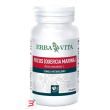 fucus 60 capsule 500 mg