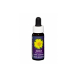 essenza singola californiana fes - arnica 7,4ml