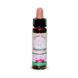 buttercup essenza 4 ml california - fiore californiano buttercup per autostima