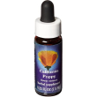 california poppy 7,5ml calf