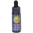 dandelion ess 7,4ml calf 7,4 ml essenza
