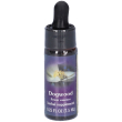 dogwood ess 7,4ml calf 7,4 ml essenza