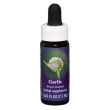 garlic ess 7,5ml calf