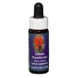 indian paintbrush da 7,4ml fiore californiano