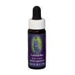 lavender ess 7,4ml calf