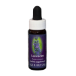 lavender ess 7,5ml california