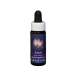 lotus ess 7,5ml calf