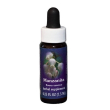 manzanita ess 7,5ml calf